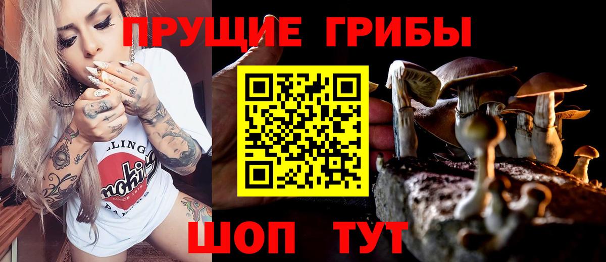 Долгопрудный  сколько стоит  Галлюциногенные грибы мухоморы  Вход с VPN  Галлюциногенные грибы Psilocybine cubensis 